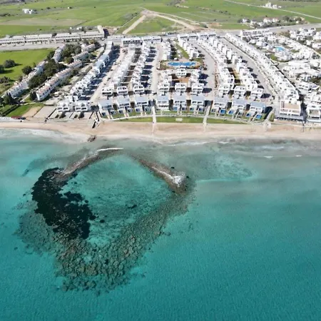4seasons Sea Star *